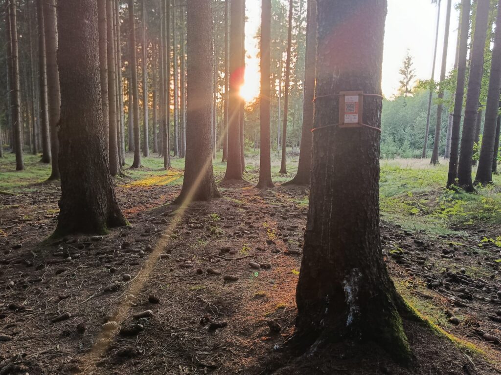 Jilemnice-Hraběnka-úvodní