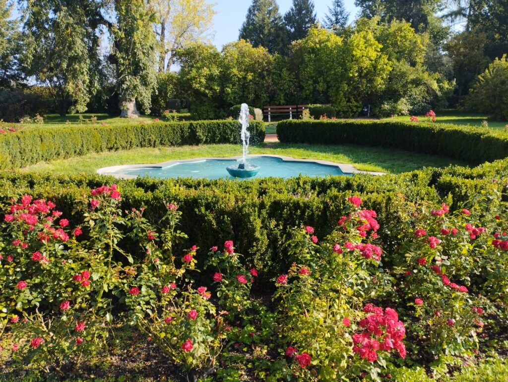 Obrázek WhatsApp, 2025-10-03 v 17.35.42_92c973e5