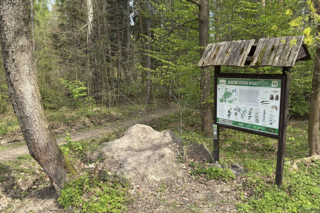 Olesna